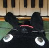 Marxy "Kyoshu Nostalgia"