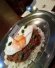 Moblog