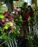 About to see NOMIYA Maki's 30th anniversary concert! - 2012/03/19 18:38 Moblog